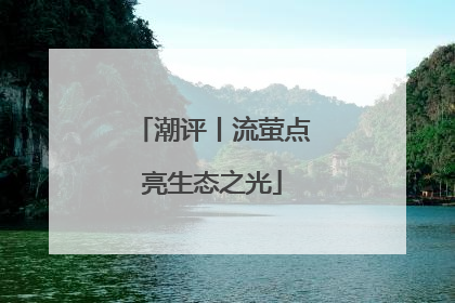 潮评丨流萤点亮生态之光