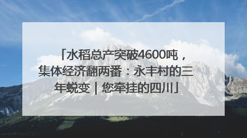 水稻总产突破4600吨，集体经济翻两番：永丰村的三年蜕变｜您牵挂的四川