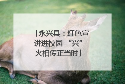 永兴县：红色宣讲进校园 “兴”火相传正当时