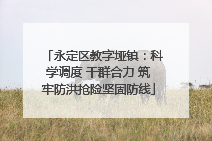 永定区教字垭镇：科学调度 干群合力 筑牢防洪抢险坚固防线