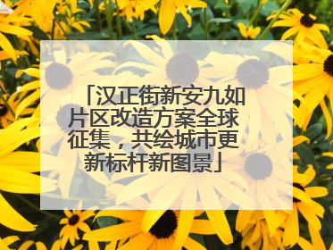 汉正街新安九如片区改造方案全球征集，共绘城市更新标杆新图景