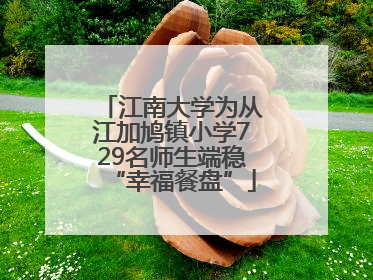 江南大学为从江加鸠镇小学729名师生端稳“幸福餐盘”