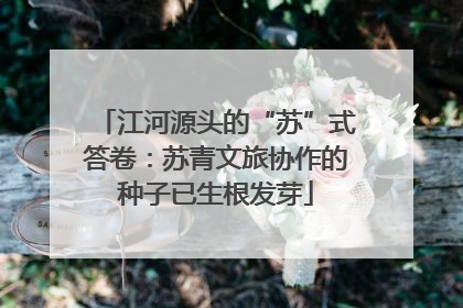 江河源头的“苏”式答卷：苏青文旅协作的种子已生根发芽