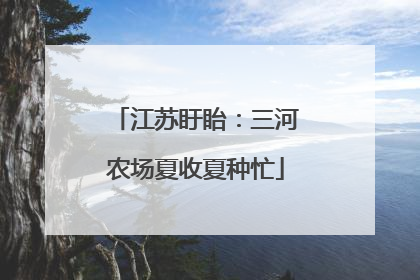 江苏盱眙：三河农场夏收夏种忙