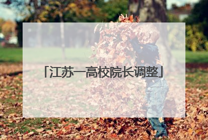 江苏一高校院长调整