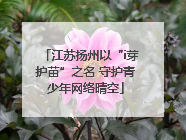 江苏扬州以“i芽护苗”之名 守护青少年网络晴空