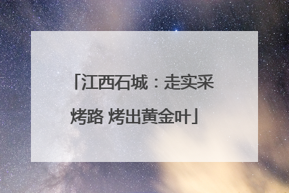 江西石城：走实采烤路 烤出黄金叶
