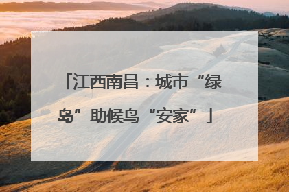 江西南昌：城市“绿岛”助候鸟“安家”