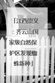 江西崇义：齐云山国家级自然保护区发现蜘蛛新种