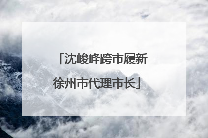 沈峻峰跨市履新徐州市代理市长