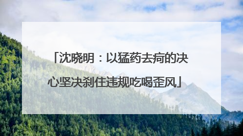 沈晓明：以猛药去疴的决心坚决刹住违规吃喝歪风