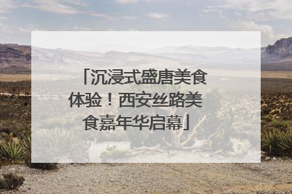 沉浸式盛唐美食体验！西安丝路美食嘉年华启幕