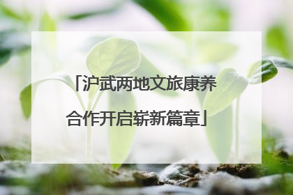 沪武两地文旅康养合作开启崭新篇章