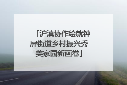 沪滇协作绘就钟屏街道乡村振兴秀美家园新画卷