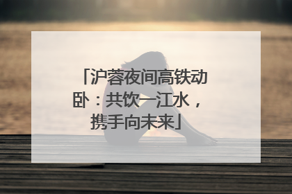 沪蓉夜间高铁动卧：共饮一江水，携手向未来