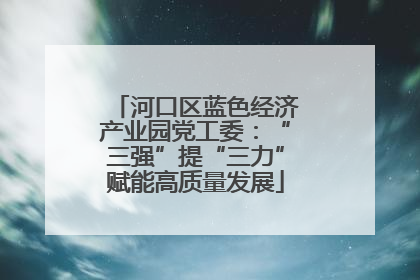 河口区蓝色经济产业园党工委：“三强”提“三力”赋能高质量发展