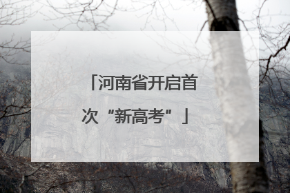 河南省开启首次“新高考”