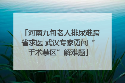 河南九旬老人排尿难跨省求医 武汉专家勇闯“手术禁区”解难题