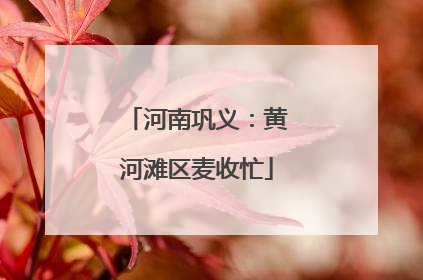 河南巩义：黄河滩区麦收忙