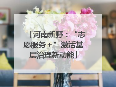 河南新野：“志愿服务＋”激活基层治理新动能