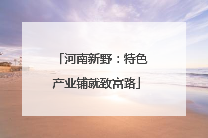 河南新野：特色产业铺就致富路