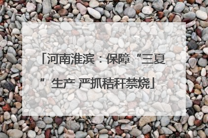 河南淮滨：保障“三夏”生产 严抓秸秆禁烧