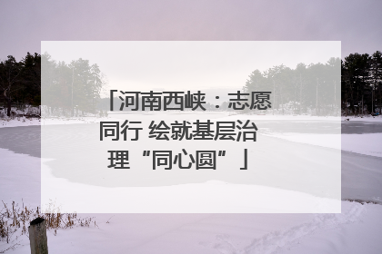 河南西峡：志愿同行 绘就基层治理“同心圆”