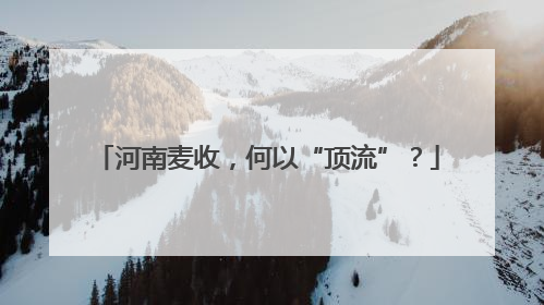 河南麦收，何以“顶流”？