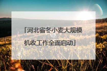 河北省冬小麦大规模机收工作全面启动