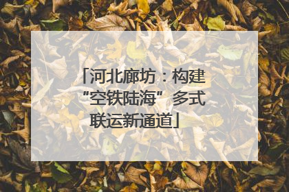 河北廊坊：构建“空铁陆海”多式联运新通道