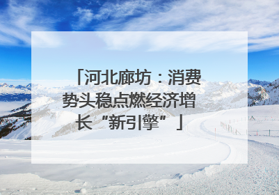 河北廊坊：消费势头稳点燃经济增长“新引擎”