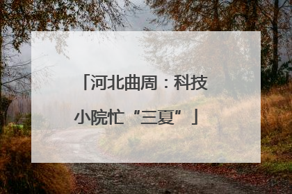 河北曲周：科技小院忙“三夏”