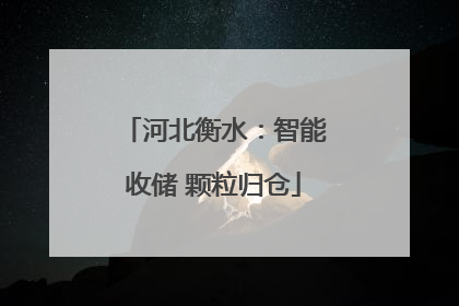河北衡水：智能收储 颗粒归仓