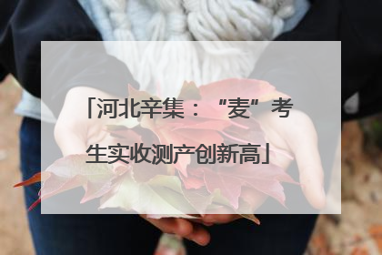 河北辛集：“麦”考生实收测产创新高