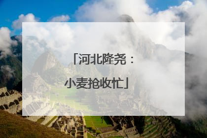 河北隆尧：小麦抢收忙