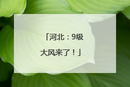 河北：9级大风来了！