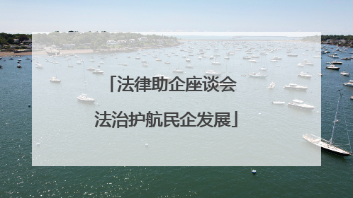 法律助企座谈会 法治护航民企发展