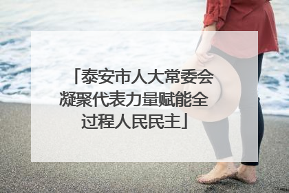 泰安市人大常委会凝聚代表力量赋能全过程人民民主