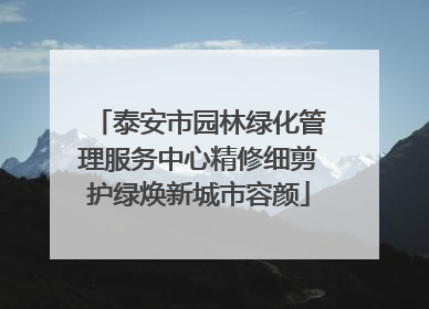 泰安市园林绿化管理服务中心精修细剪护绿焕新城市容颜