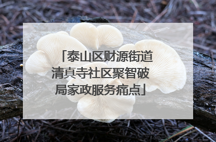 泰山区财源街道清真寺社区聚智破局家政服务痛点