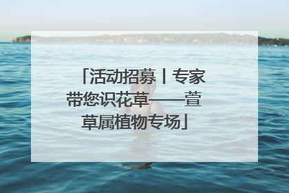 活动招募丨专家带您识花草——萱草属植物专场