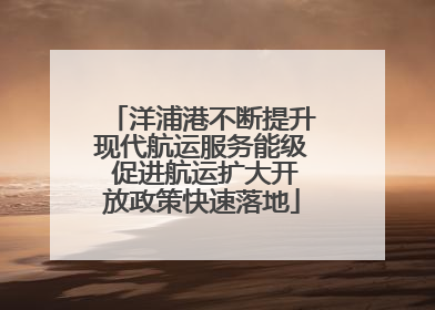 洋浦港不断提升现代航运服务能级 促进航运扩大开放政策快速落地