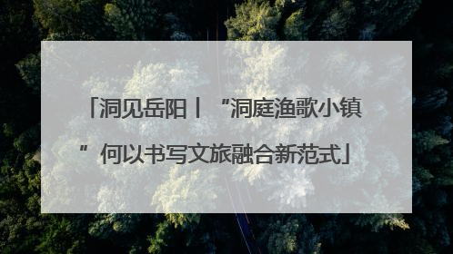 洞见岳阳丨“洞庭渔歌小镇”何以书写文旅融合新范式