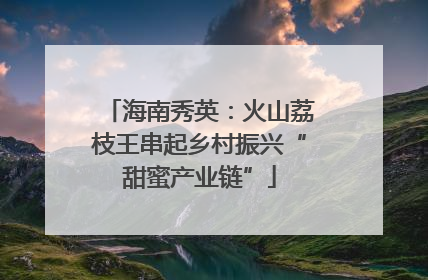 海南秀英：火山荔枝王串起乡村振兴“甜蜜产业链”