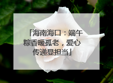 海南海口：端午粽香暖孤老，爱心传递显担当