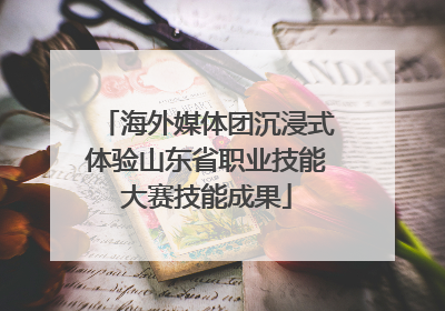 海外媒体团沉浸式体验山东省职业技能大赛技能成果