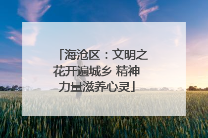 海沧区：文明之花开遍城乡 精神力量滋养心灵