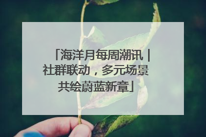 海洋月每周潮讯｜社群联动，多元场景共绘蔚蓝新章