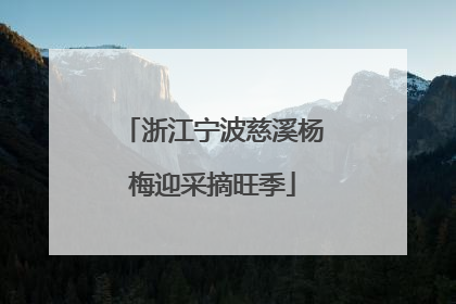 浙江宁波慈溪杨梅迎采摘旺季