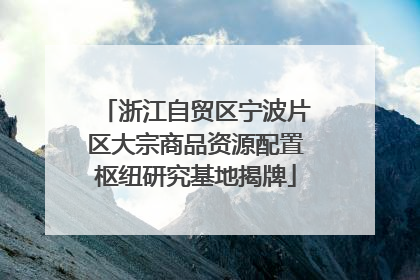 浙江自贸区宁波片区大宗商品资源配置枢纽研究基地揭牌
